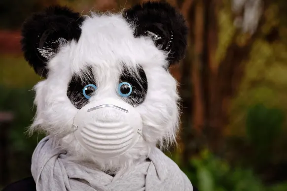 オッパ 88888888 カジノ サポート